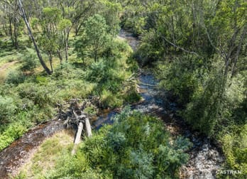 1057 Great Alpine Road Freeburgh VIC 3741 - Image 3