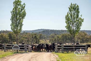 391 Carrot Farm Road Deepwater NSW 2371 - Image 1