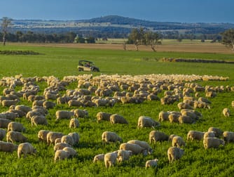 Bellerive 475 River Road Ponto NSW 2818 - Image 1