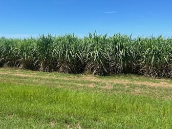 314 Barrow Hill Road Habana QLD 4740 - Image 3