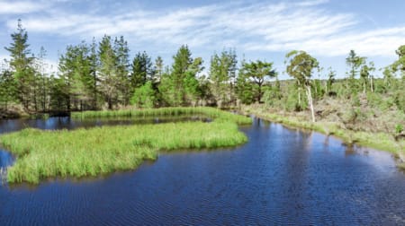 464 Tally Ho Braidwood NSW 2622 - Image 1