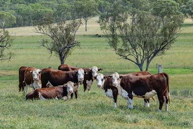 865 Upper Spring Creek Road Spring Creek QLD 4361 - Image 2