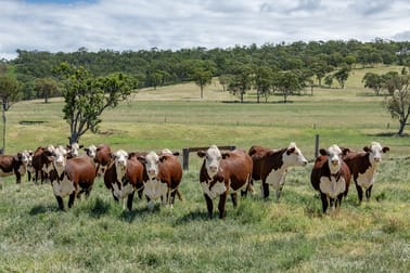 865 Upper Spring Creek Road Spring Creek QLD 4361 - Image 3