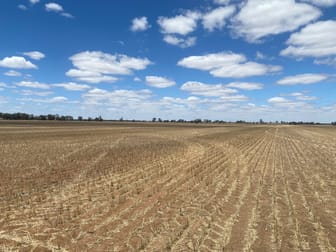 Warracknabeal VIC 3393 - Image 1