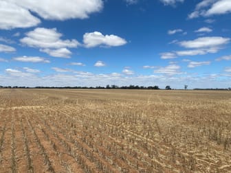 Warracknabeal VIC 3393 - Image 2