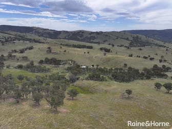 260 & 262 Alpha Road Tambaroora NSW 2850 - Image 1