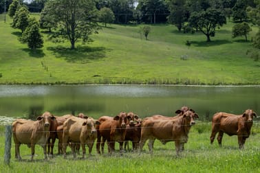50 Bellthorpe West Road Bellthorpe QLD 4514 - Image 2