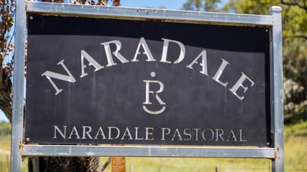 4861 Coonabarabran Road Coonabarabran NSW 2357 - Image 2