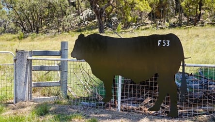 4861 Coonabarabran Road Coonabarabran NSW 2357 - Image 3