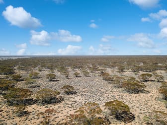 Lot 103 Stock Route Road Mount Mary SA 5374 - Image 3