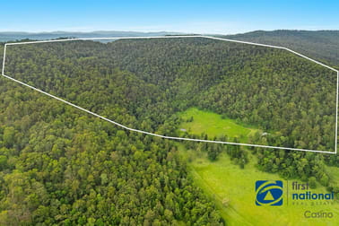 Lot 102 Duck Creek Road Old Bonalbo NSW 2469 - Image 1