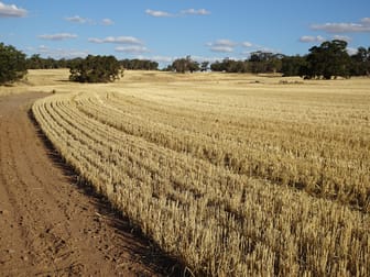 1811 Williams Kondinin Road Minigin WA 6312 - Image 1