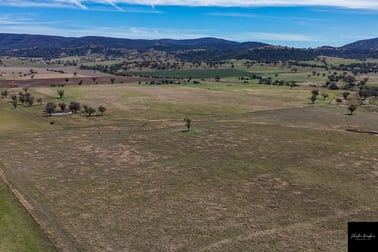 1822 Old Winton Road Winton NSW 2344 - Image 3