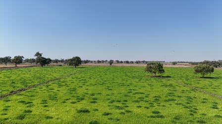 8109 Murray Valley Highway Kerang East VIC 3579 - Image 2