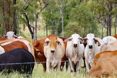 739 Coal Road Dumgree QLD 4715 - Image 3