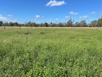 69 Elizabeth Street Duaringa QLD 4712 - Image 2
