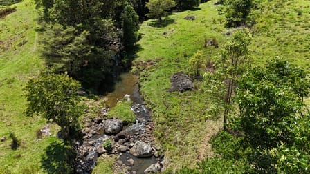3552 Nerang Murwillumbah Road Natural Bridge QLD 4211 - Image 3