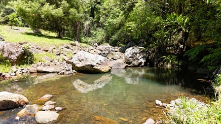 3552 Nerang Murwillumbah Road Natural Bridge QLD 4211 - Image 2