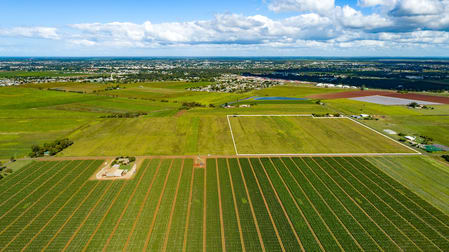 22 Faggs Road Gooburrum QLD 4670 - Image 2