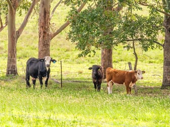 17 Tomkinsons Road Backmede NSW 2470 - Image 3