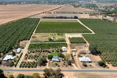 Lot 54 Newton Road Loxton SA 5333 - Image 3
