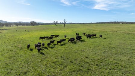 610 Gwydir Park Road Torryburn NSW 2358 - Image 3