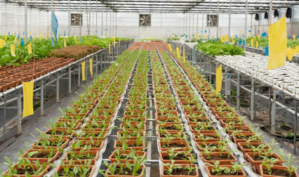 Home & Garden  business for sale in South East Queensland Greater Region QLD - Image 3