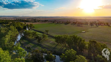 11664 Kamilaroi Highway Emerald Hill NSW 2380 - Image 1