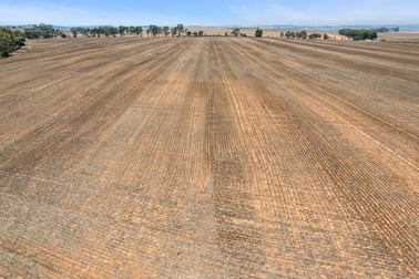 Section 345 & 346 Brinkworth SA 5464 - Image 3