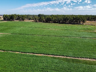 127 Orrs Road Gannawarra VIC 3568 - Image 2