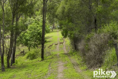 238 Forest Hills Drive Morayfield QLD 4506 - Image 3
