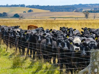 Glenerin Road Crookwell NSW 2583 - Image 2