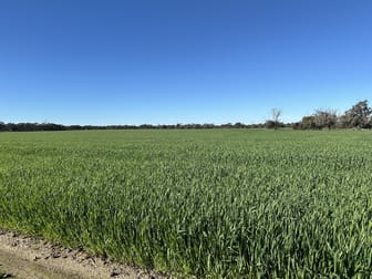 28694 Great Southern Highway Katanning WA 6317 - Image 1