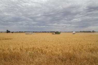 . 'GLENVIEW' Burcher NSW 2671 - Image 3