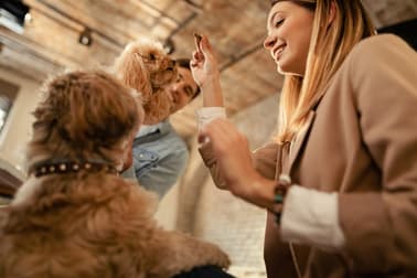 Animal Related  business for sale in South East Queensland Greater Region QLD - Image 1