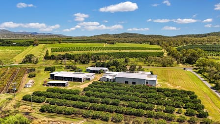 119 McLeod Road Mutchilba QLD 4872 - Image 1