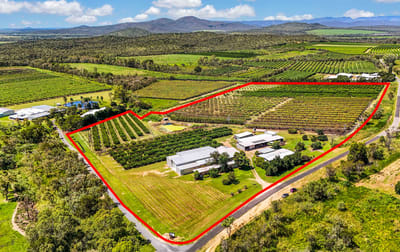 119 McLeod Road Mutchilba QLD 4872 - Image 2