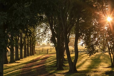 229 Glenarvon Road Lorn NSW 2320 - Image 3