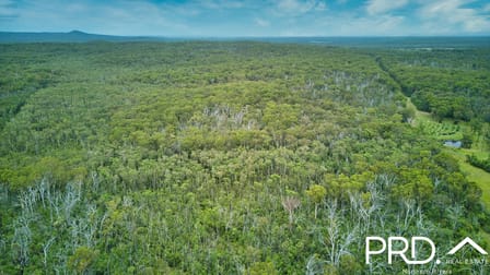 605 Myall Creek Road Bora Ridge NSW 2471 - Image 3