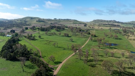 1763 Wongwibinda Road Wongwibinda NSW 2350 - Image 3