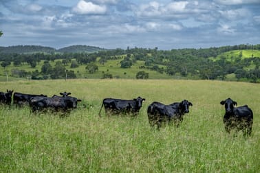 3128 Manumbar Road Elgin Vale QLD 4615 - Image 1