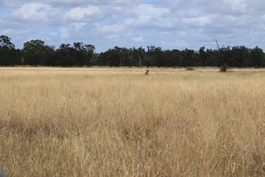445 Six Mile Rd Roma QLD 4455 - Image 3