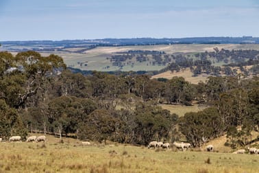 1169 Golspie Road Taralga NSW 2580 - Image 3