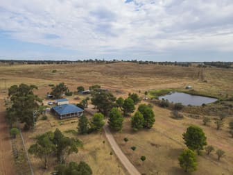 1127 Newell Highway Forbes NSW 2871 - Image 1