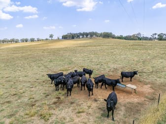 21 Meadows Lane Lyndhurst NSW 2797 - Image 2