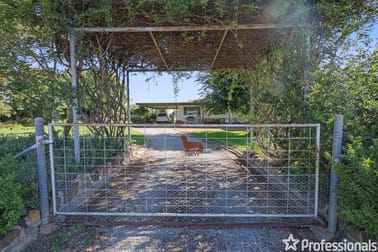 143 Skeltons Lane Duri NSW 2344 - Image 3