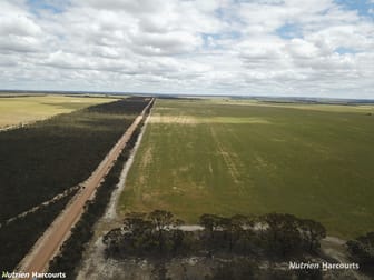 Lot 1798 Bowra Road Needilup WA 6336 - Image 2