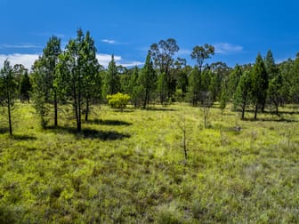 Wieambilla QLD 4413 - Image 3