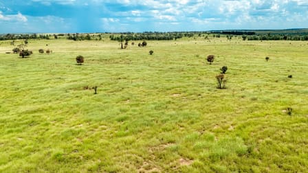 10077 Hoganthulla Road Mungallala QLD 4467 - Image 1