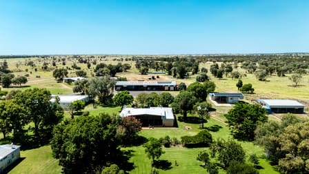 10077 Hoganthulla Road Mungallala QLD 4467 - Image 3